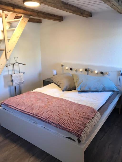 La Maisonnette : Charmante Maison Independante Salgesch Ngoại thất bức ảnh